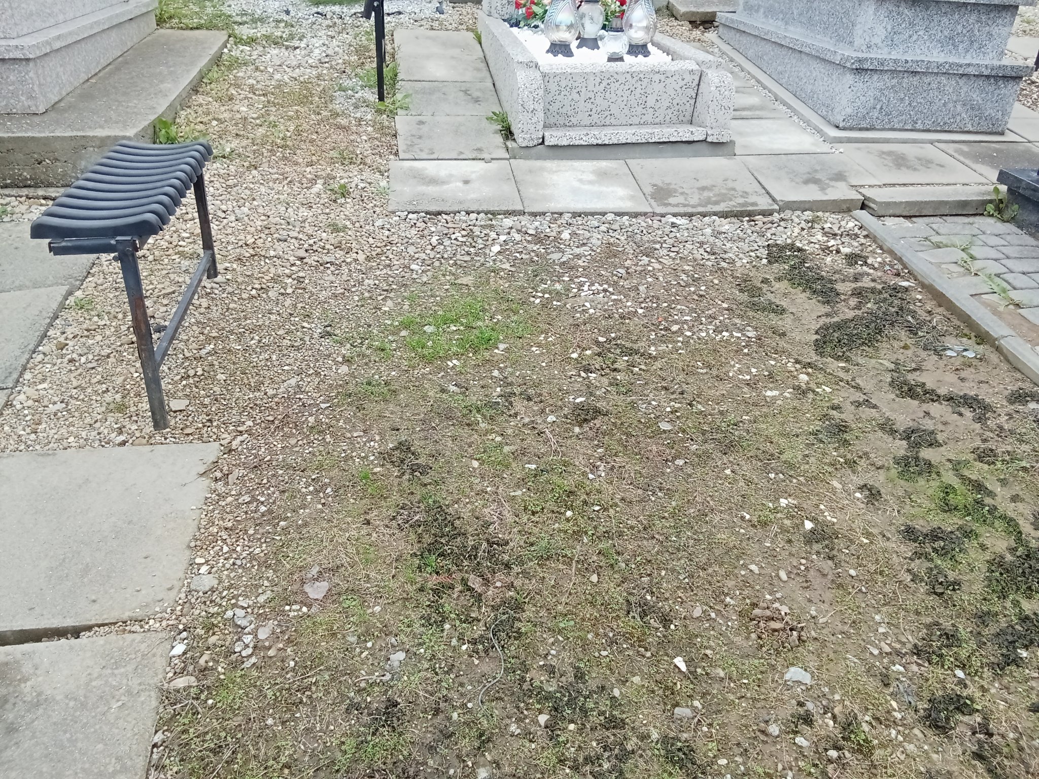 Agnieszka Strzelczyk  1902 Toporzysko - Grobonet - Wyszukiwarka osób pochowanych